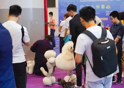 2024太原国际宠物产业博览会